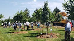 quantum-groundbreaking-trees quantum-groundbreaking-trees