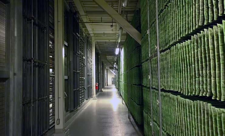 Data leaders are moving toward their sustainability goals. (Photo: Rich Miller)