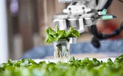 A robotic “transporter” arm from Iron Ox moves a plant inside an autonomous indoor farm in California. (Photo: Iron Ox) A robotic “transporter” arm from Iron Ox moves a plant inside an autonomous indoor farm in California. (Photo: Iron Ox)