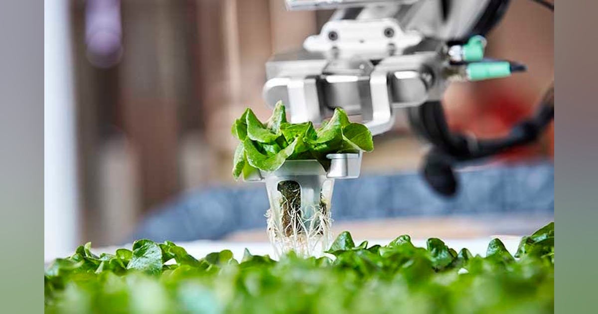 Precision Farming: AI and Automation Are Transforming Agriculture ...