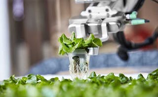 A robotic &ldquo;transporter&rdquo; arm from Iron Ox moves a plant inside an autonomous indoor farm in California. (Photo: Iron Ox)