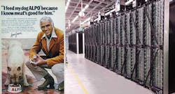 DogFood-Voices-web2 DogFood-Voices-web2