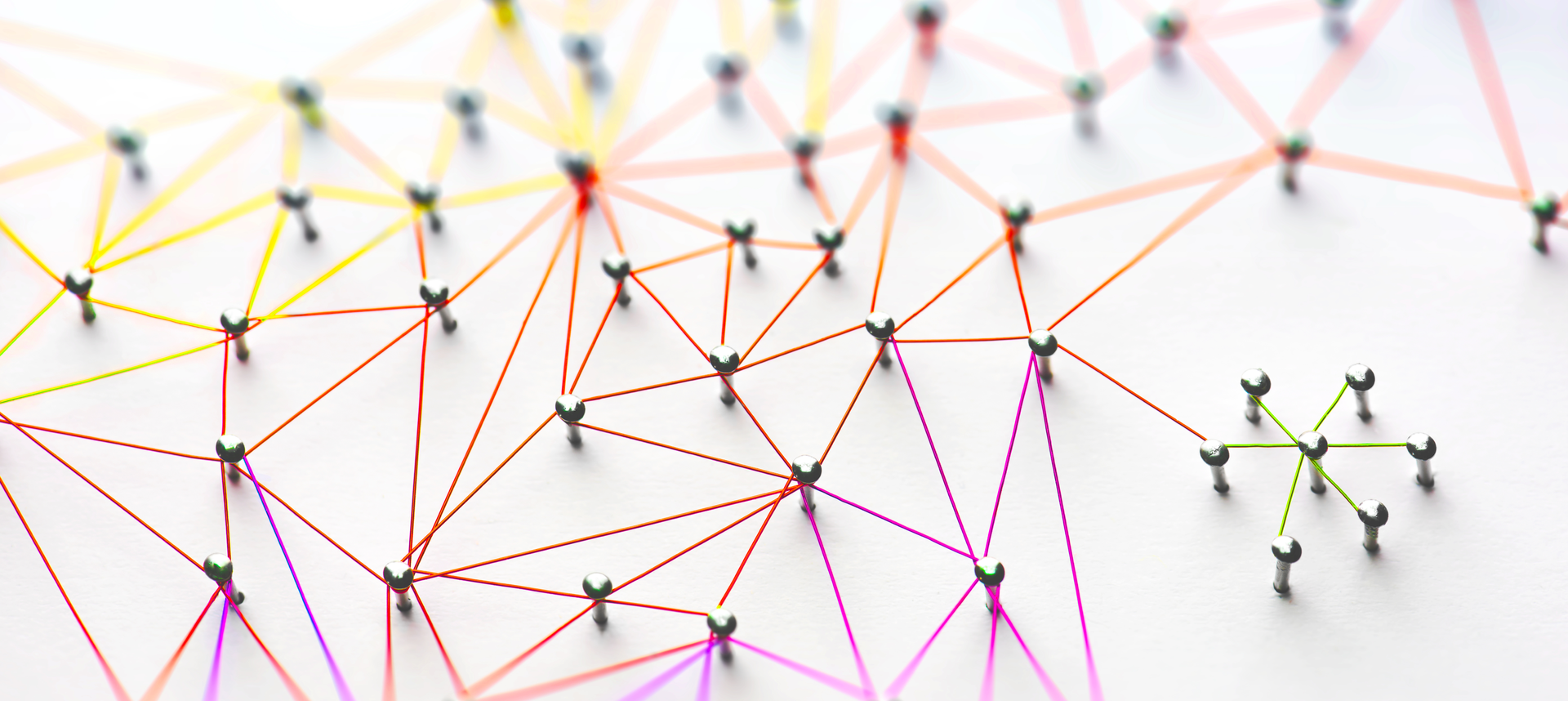 Source: optimarc / Shutterstock.com