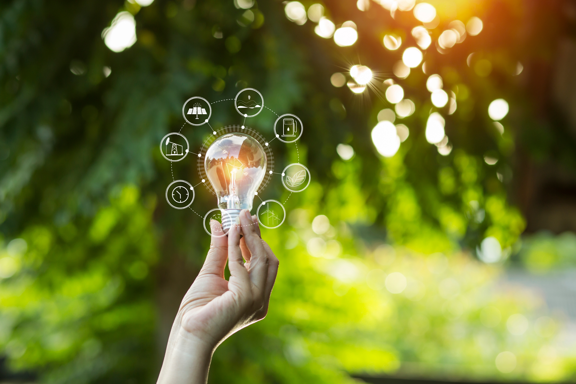 Source: panomporn lungmint / Shutterstock.com