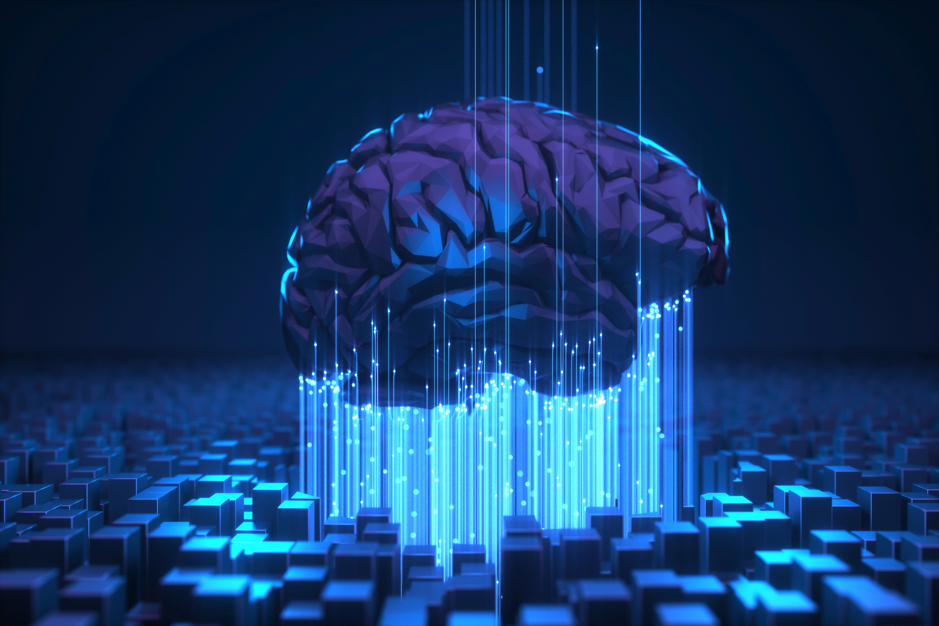 Source: iStock, Courtesy of The Siemon Company