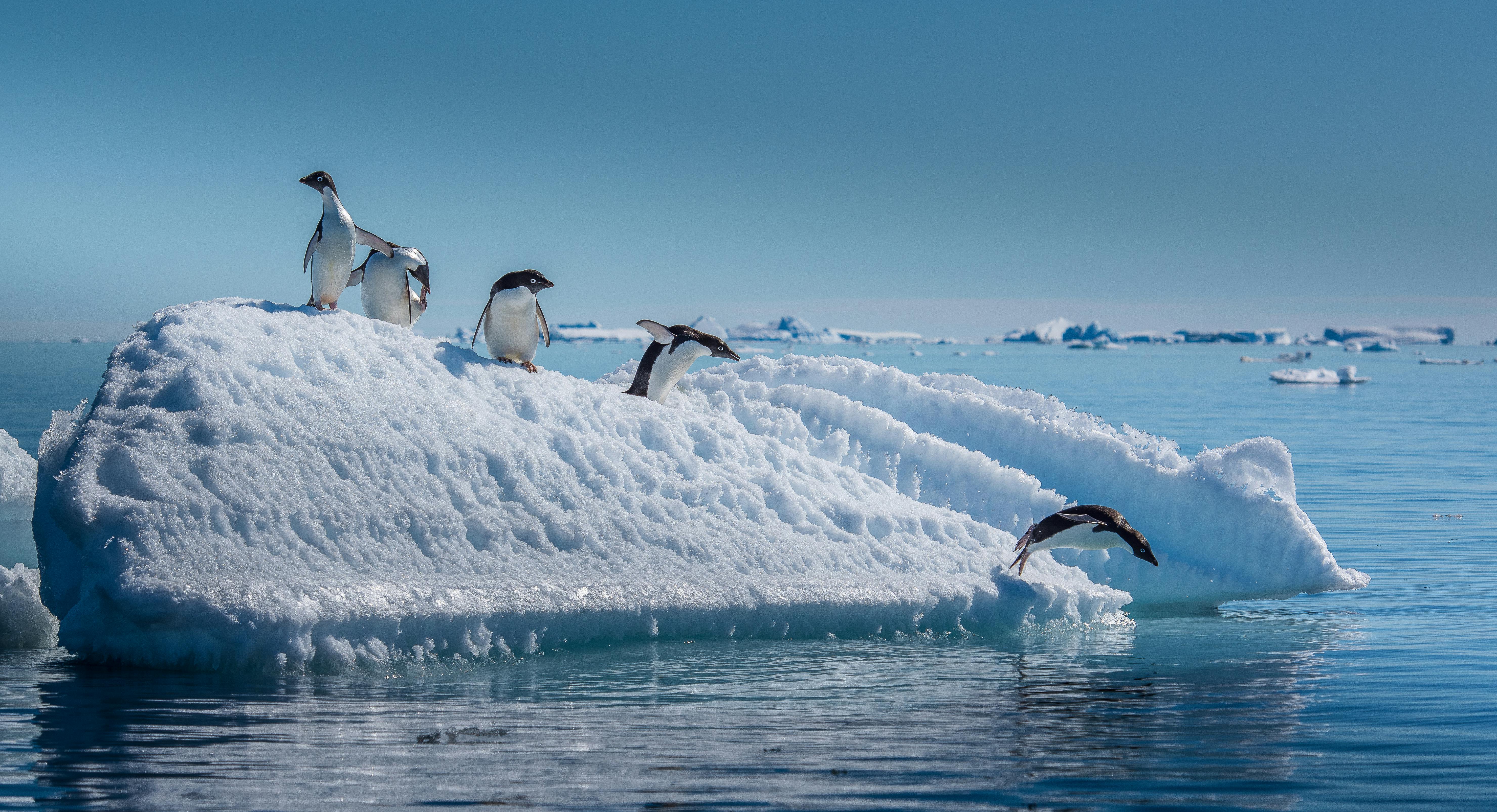 Source: Shutterstock, courtesy of BluePrint Supply Chain