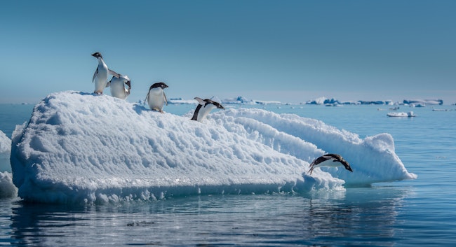 Source: Shutterstock, courtesy of BluePrint Supply Chain