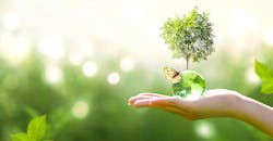 Source: Julia Ardaran / Shutterstock.com Source: Julia Ardaran / Shutterstock.com