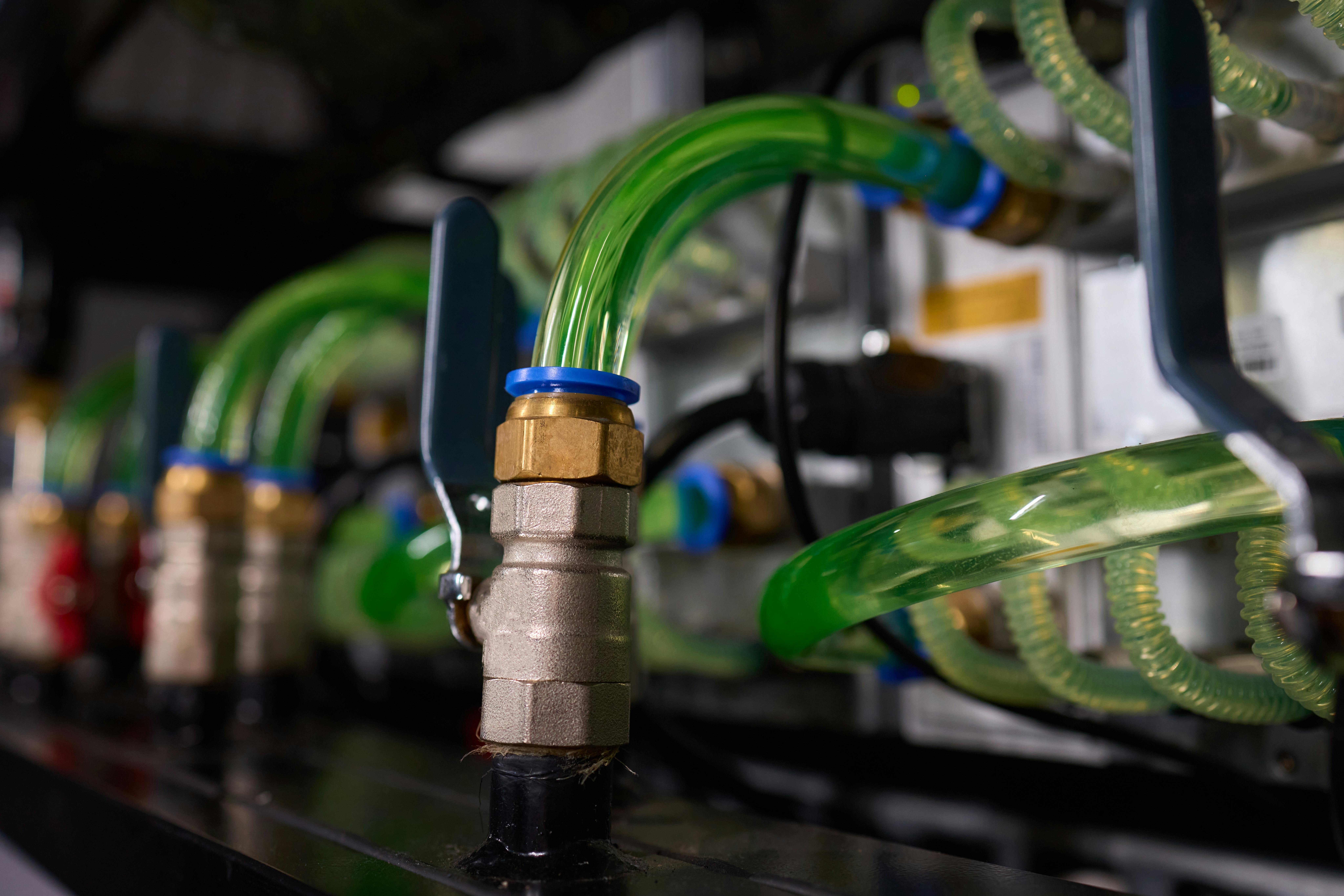 Source: Vershinin89/Shutterstock.com