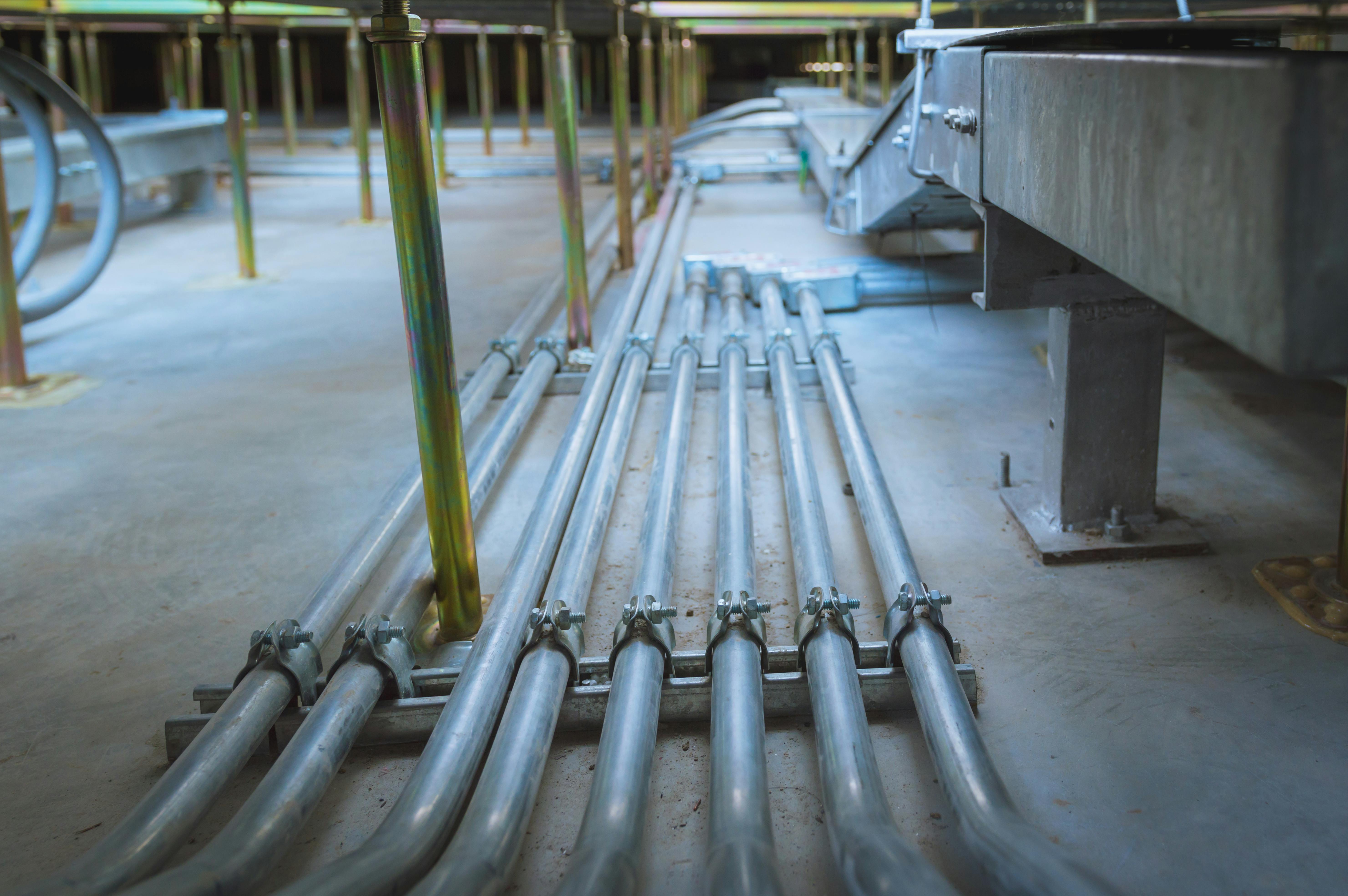 Source: RachenStocker/Shutterstock.com