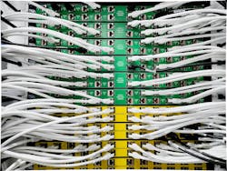 Source: Andrius Kaziliunas/Shutterstock.com Source: Andrius Kaziliunas/Shutterstock.com