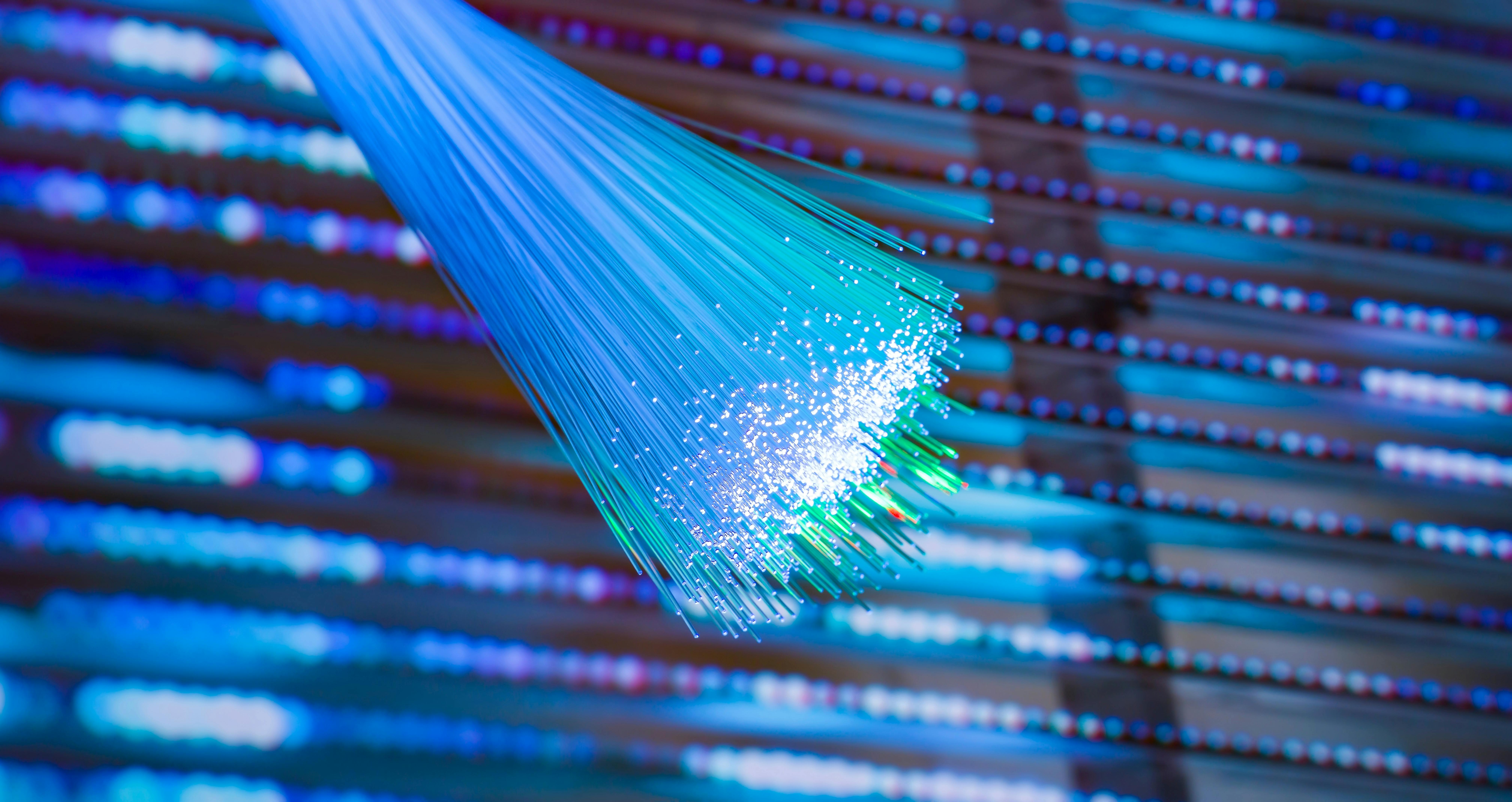 Source: asharkyu/Shutterstock.com