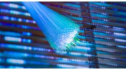 Source: asharkyu/Shutterstock.com Source: asharkyu/Shutterstock.com