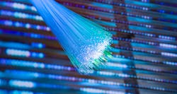 Source: asharkyu/Shutterstock.com Source: asharkyu/Shutterstock.com