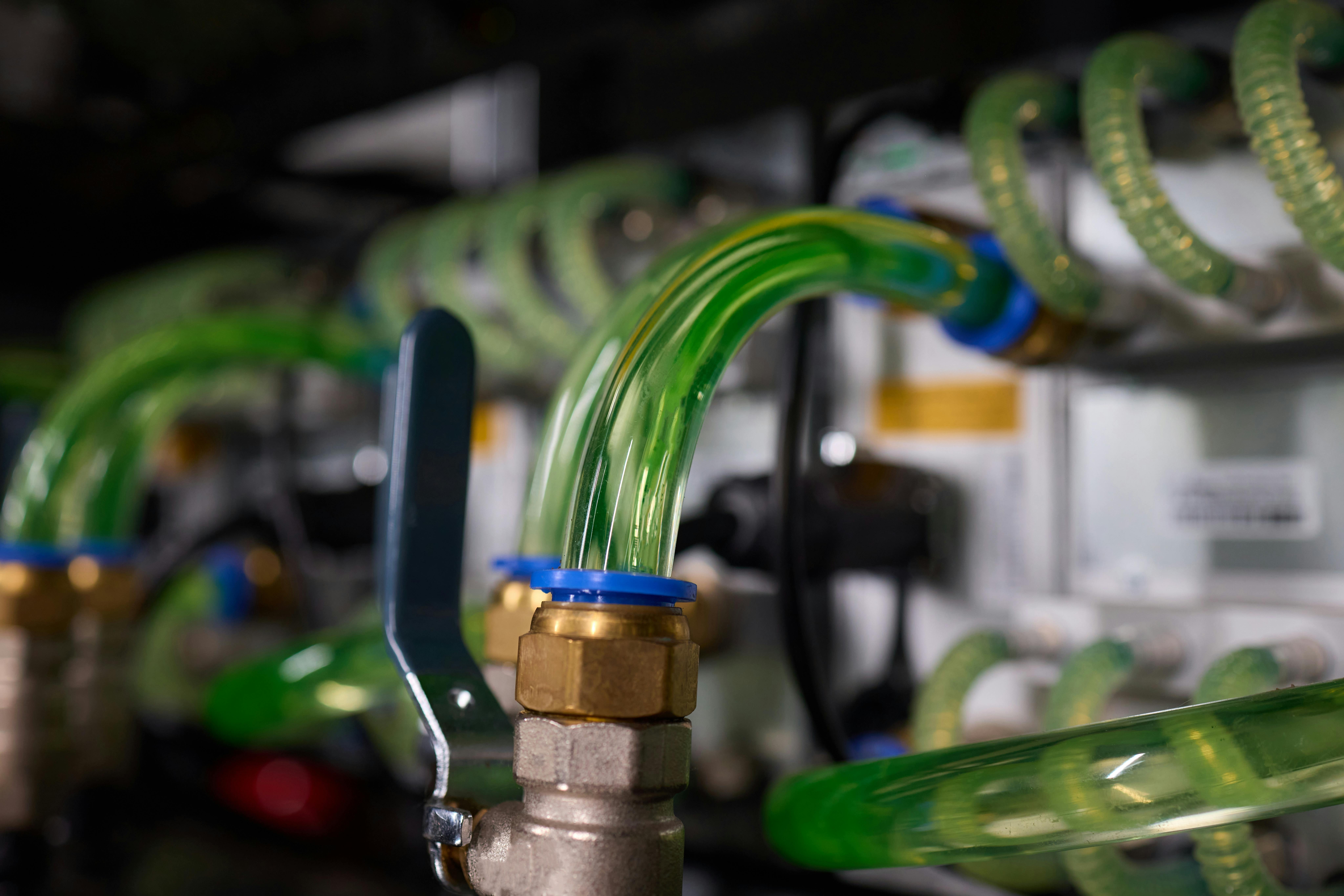 Source: Vershinin89/Shutterstock.com