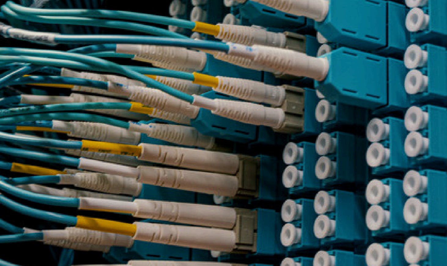 molex_feature