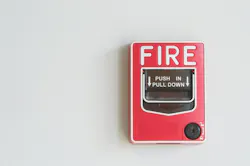 Source: Rob Byron/Shutterstock.com